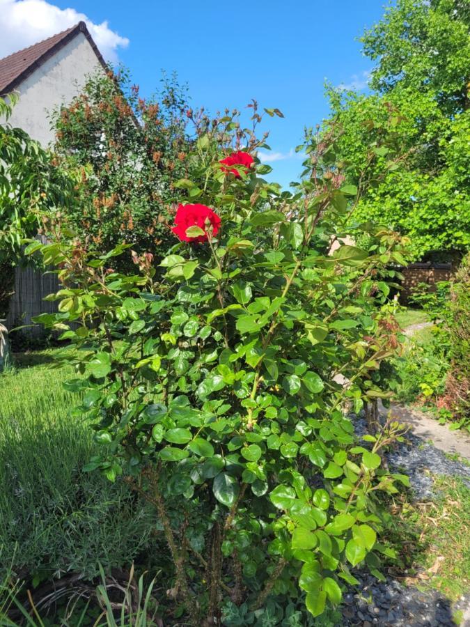 Cosy Room + Breakfast 20 Mn From Epernay Blancs-Coteaux Extérieur photo